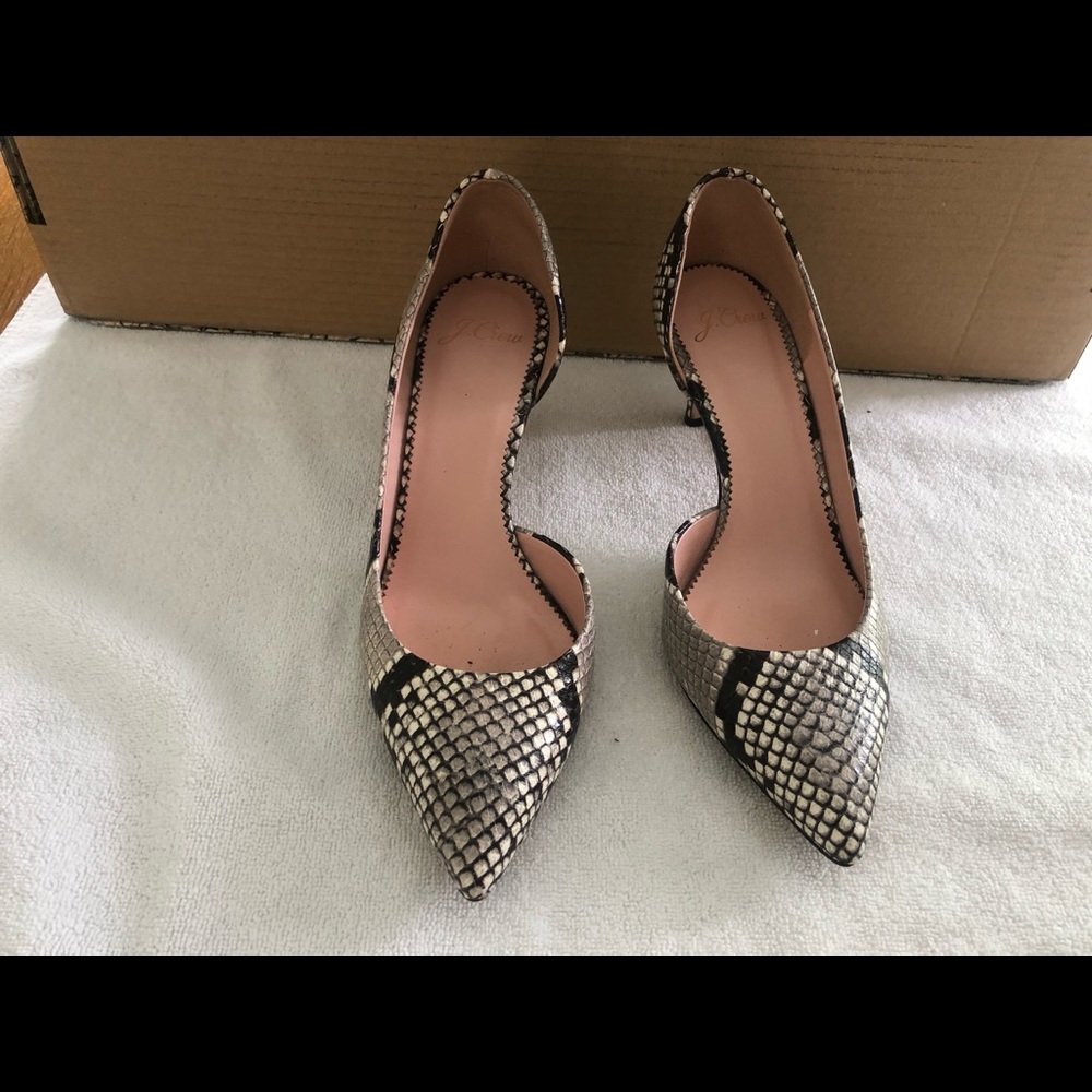 Pumps in snake